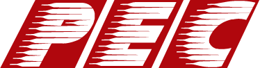 Power And Energy Consultants India Limited Logo